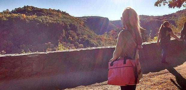 Crazy Cool Gifts Under $100-Bison Coolers