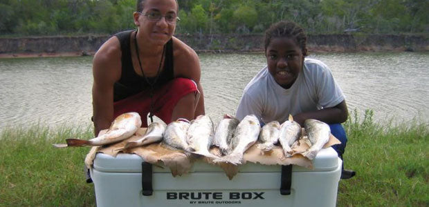 Let's Hear From The Herd of Bison Fans