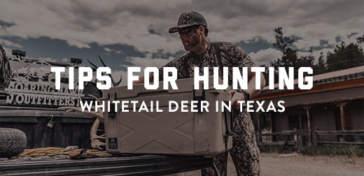 Tips for Hunting Whitetail Deer in Texas
