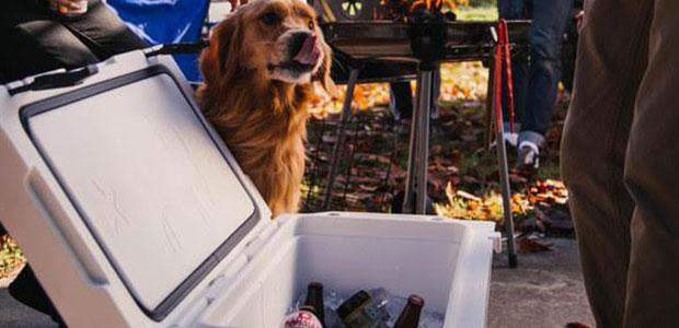 Roto-molded Coolers Built For Cooler Times With Family and Friends!-Bison Coolers