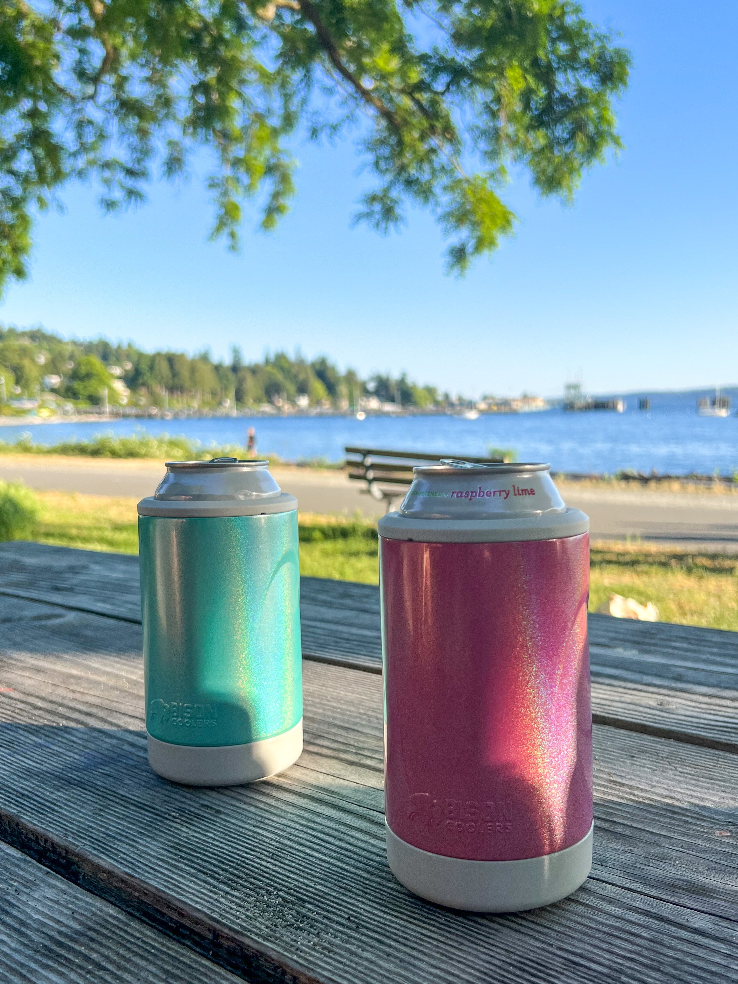 Shot of a lake with two Bison Bevi's sitting on park table